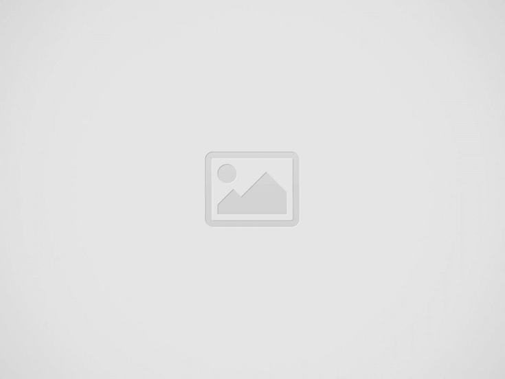 Cabinet Quoizola illustration